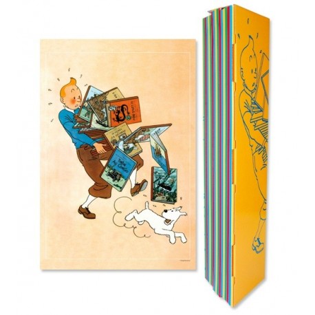 Poster -Tintin Tenant les Albums- 40 x 60 cm - Couleur