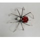 Broche Bruno da Rocha spin rood lijf